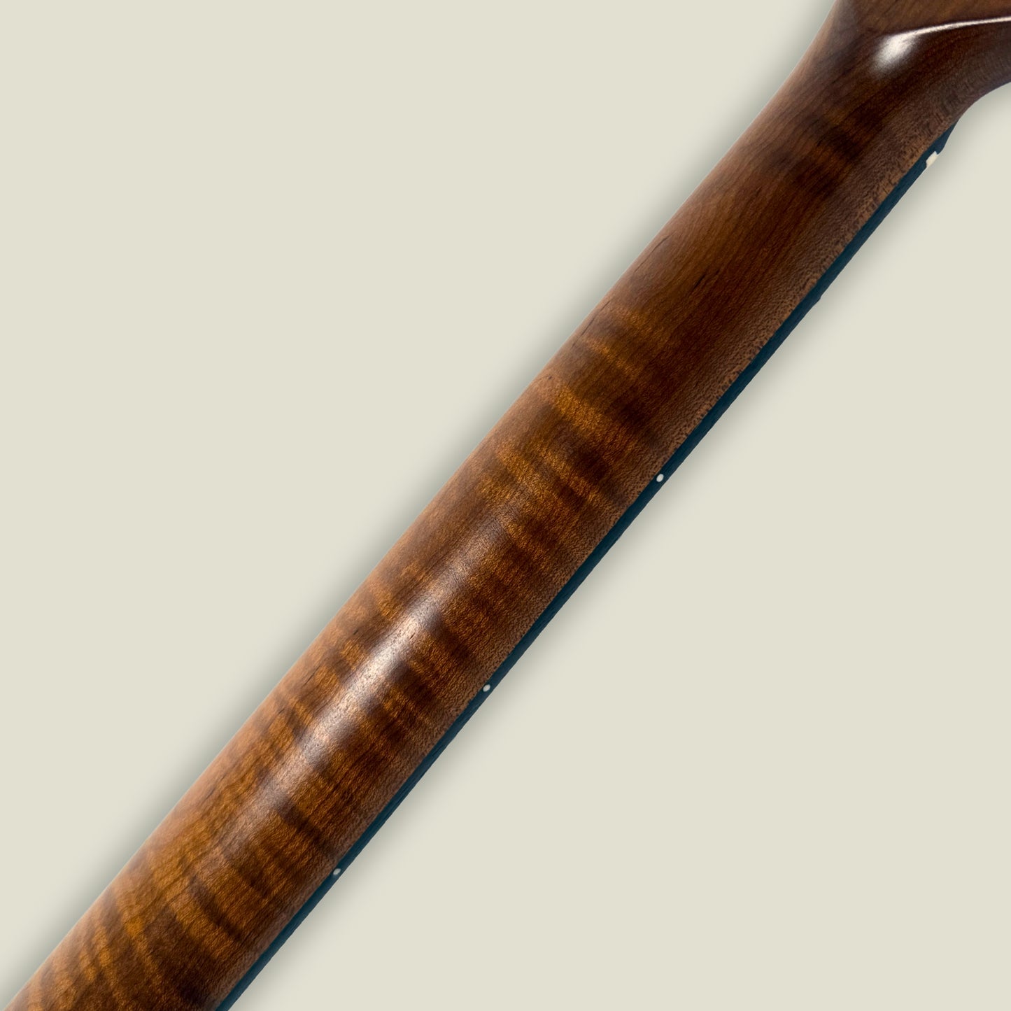 tl-style flamed neck #3 (rosewood board)